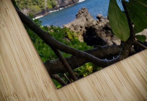 Greenery in Hilo Kathleen Anderson puzzle