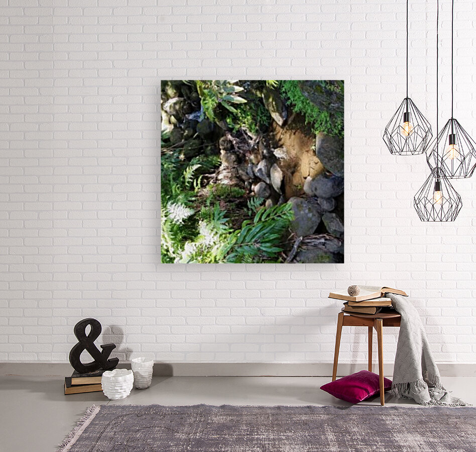 Rainforest1 Reproduction