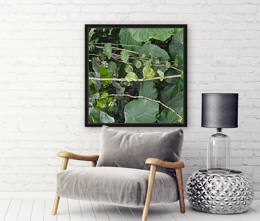 Vines1 Reproduction