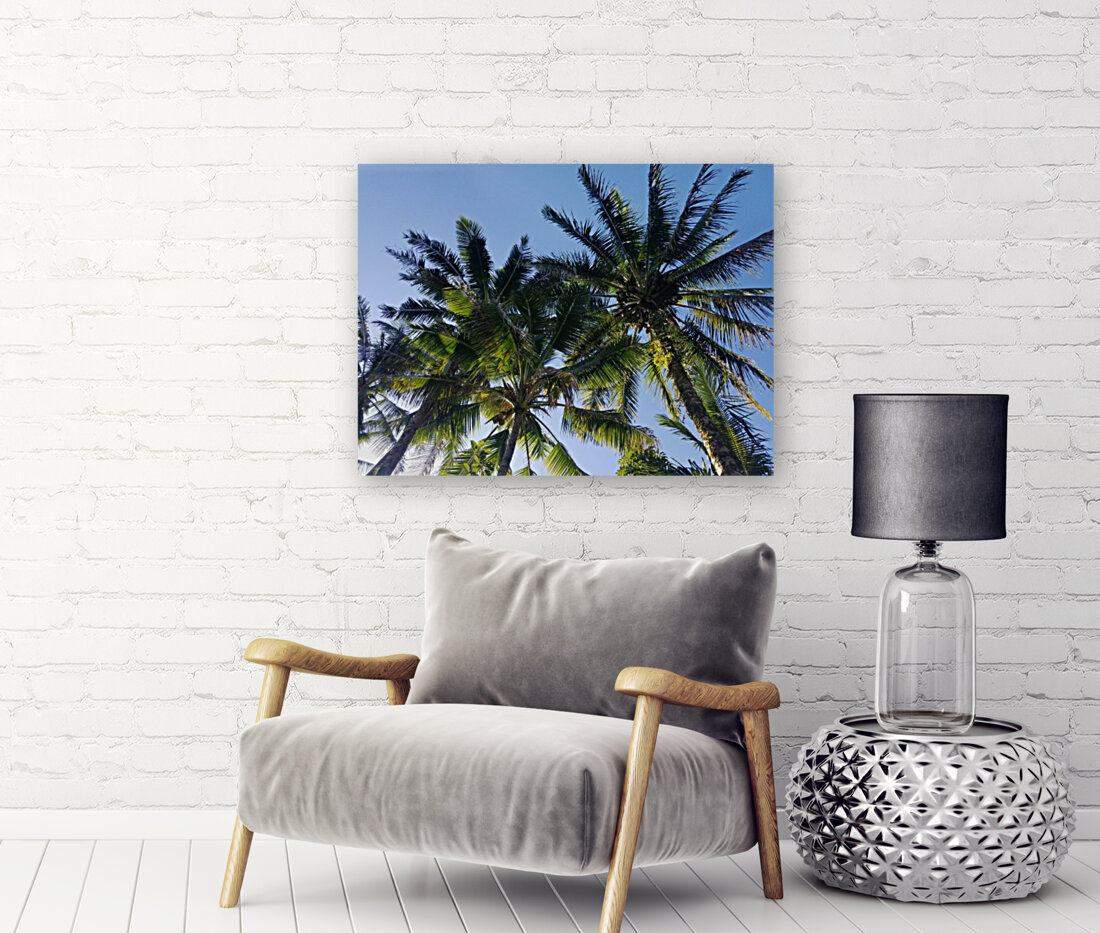 PalmTrees in Hilo Reproduction