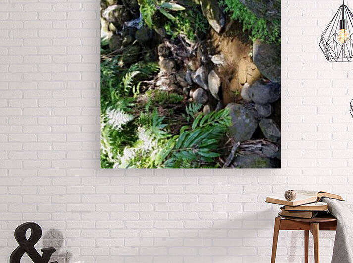 Rainforest1 by Kathleen Anderson