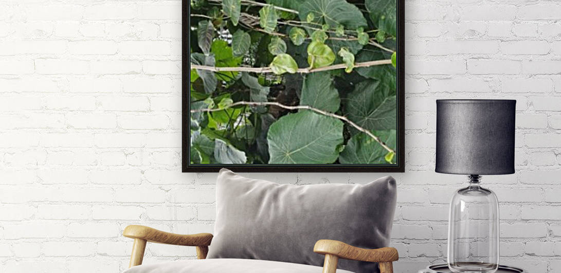 Vines1 by Kathleen Anderson