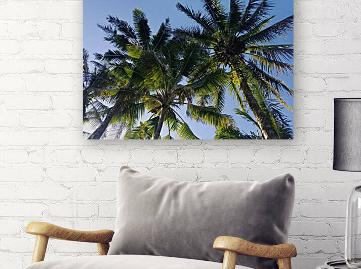 PalmTrees in Hilo by Kathleen Anderson