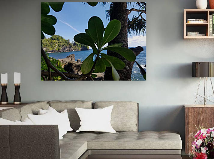 Greenery in Hilo by Kathleen Anderson