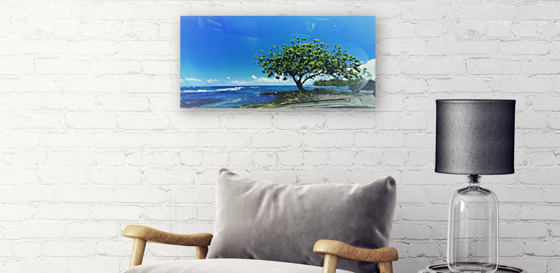 Tree in Hilo Bay  by Kathleen Anderson