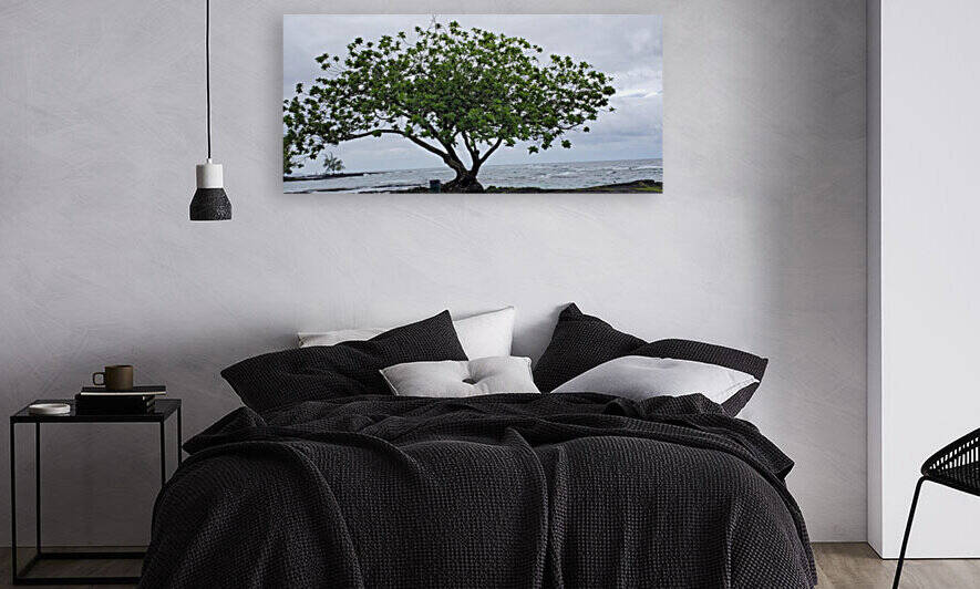 Hilo Bay Tree by Kathleen Anderson