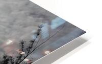 CloudsandMoon1 HD Metal print