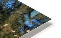 HiloBay5 HD Metal print