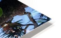 Greenery in Hilo HD Metal print