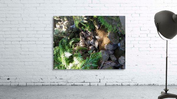 Rainforest1 Wall Preview
