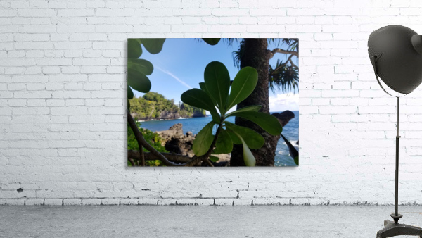 Greenery in Hilo Wall Preview