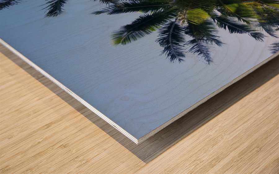 PalmTrees in Hilo Wood print