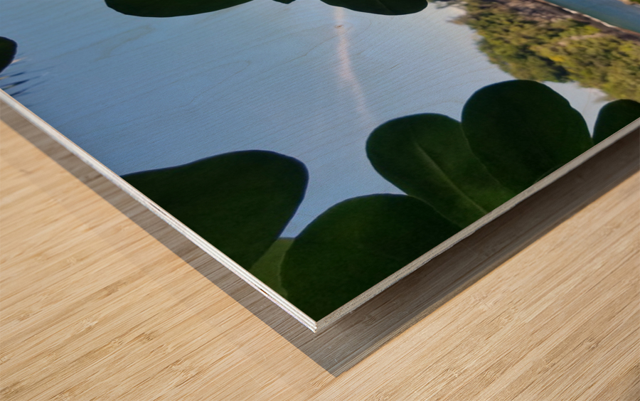 Greenery in Hilo Wood print