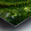 Green Arch Metal print
