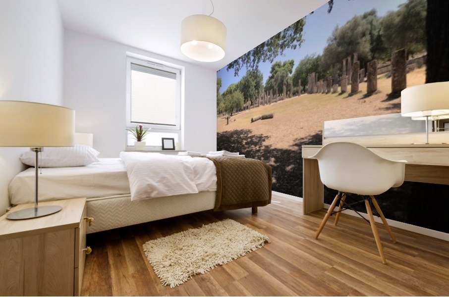 Olympie Mural print