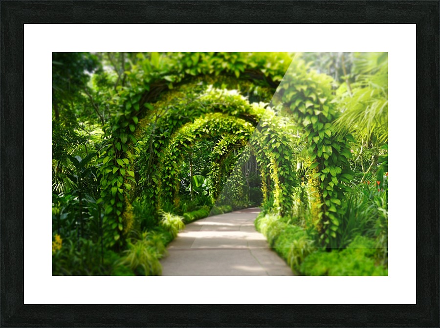 Green Arch Picture Frame print
