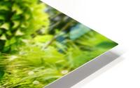 Green Arch HD Metal print