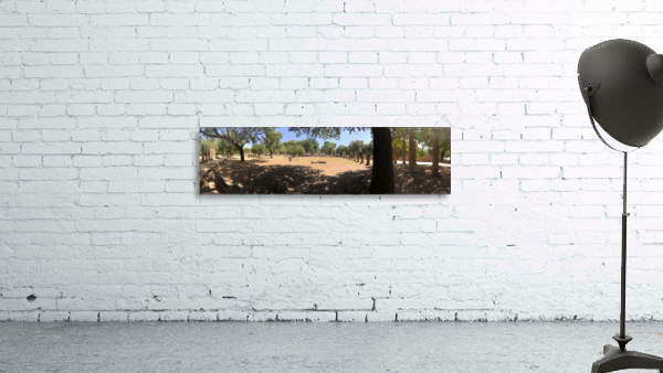 Olympie Wall Preview