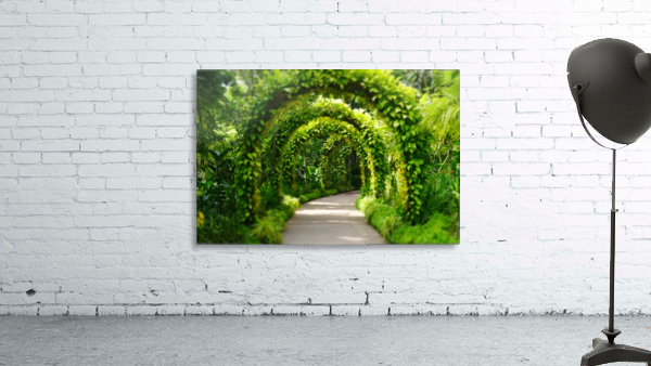Green Arch Wall Preview
