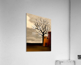                15 2 Acrylic Print