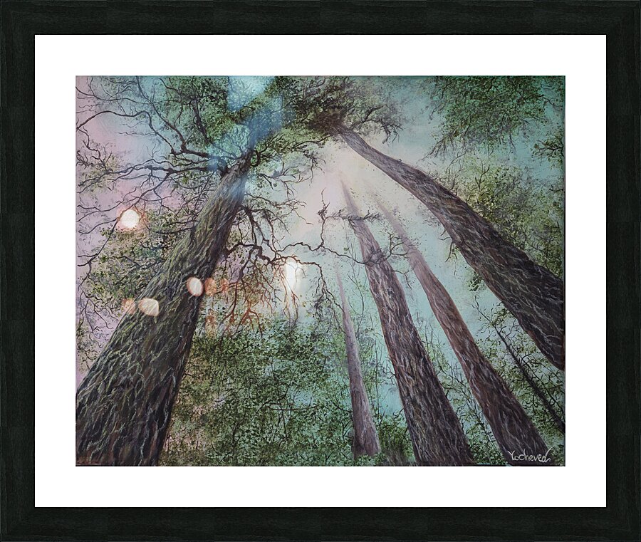 Look Up  Picture Frame print