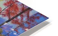 The River Garden HD Metal print
