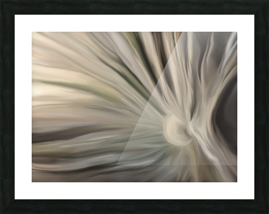 Dandelion Abstraction Picture Frame print