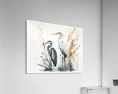 Trust Acrylic Print