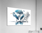 Patience Acrylic Print
