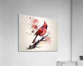 Love Acrylic Print