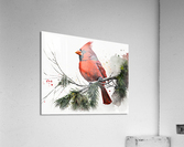 Spirit Acrylic Print