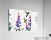 Sweetness Acrylic Print