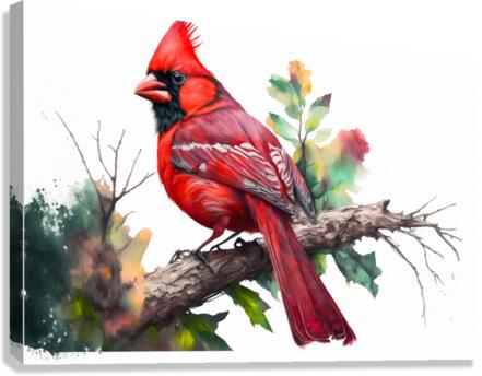 Heart Canvas Print