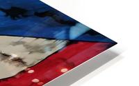 Coqui HD Metal print