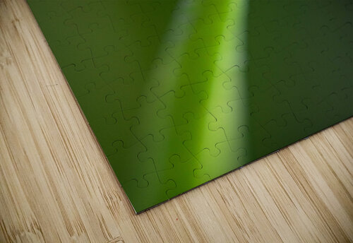 Macro shot Abhay Choudhary puzzle