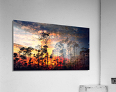 Burning Trees Acrylic Print