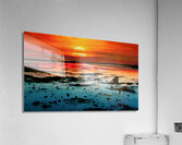 Wetlands Acrylic Print