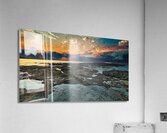 Birdrise Acrylic Print