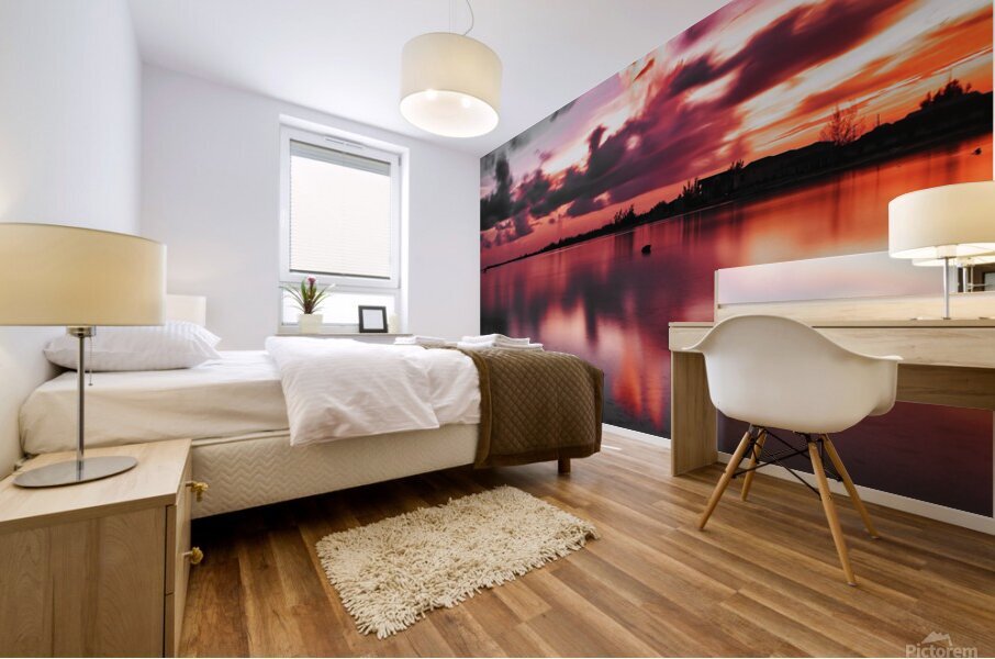 Sky Fire Mural print