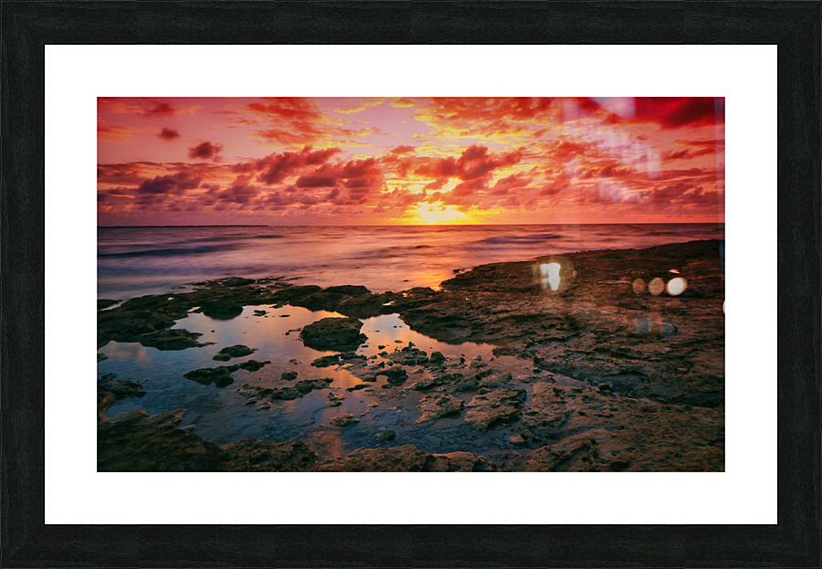 The Red Shore Picture Frame print