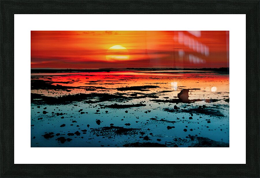 Wetlands Picture Frame print