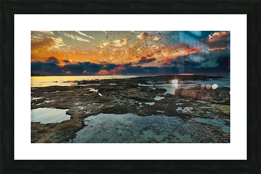 Birdrise Picture Frame print