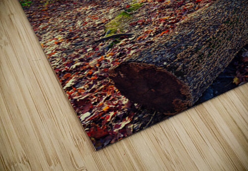 Autumn Passage MLKerr puzzle