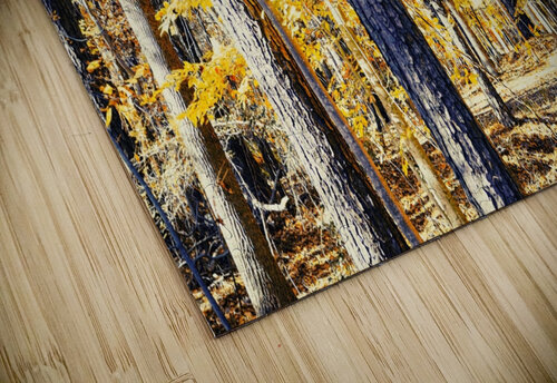 Autumn Trails MLKerr puzzle