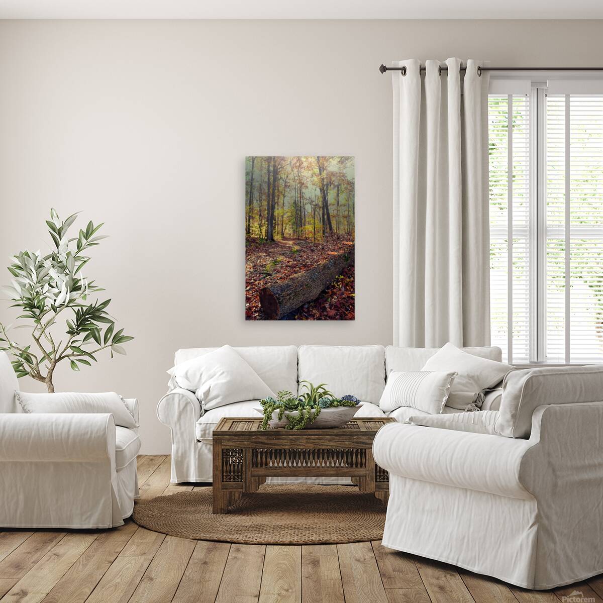 Autumn Passage Reproduction