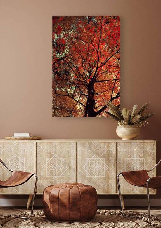 Under the Autumn Canopy by MLKerr