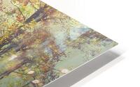 Autumn Passage HD Metal print