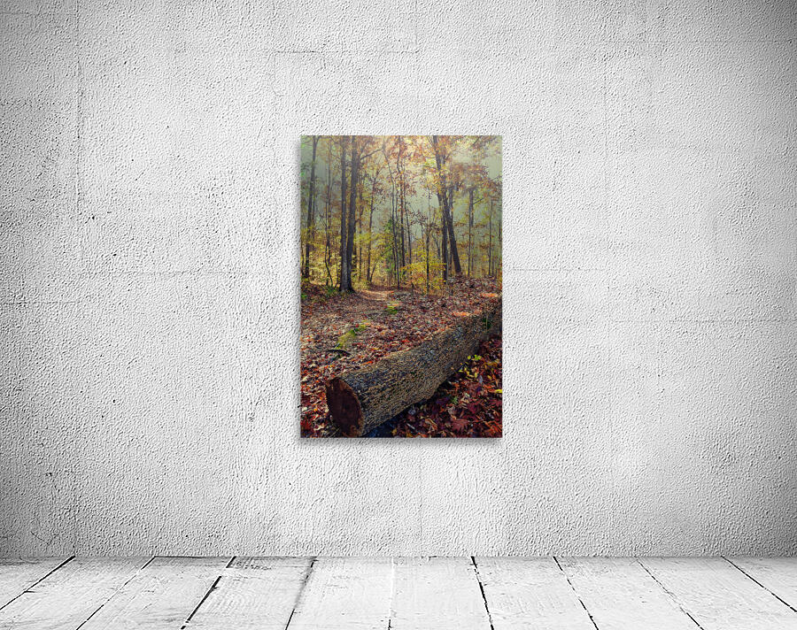 Autumn Passage Wall Preview