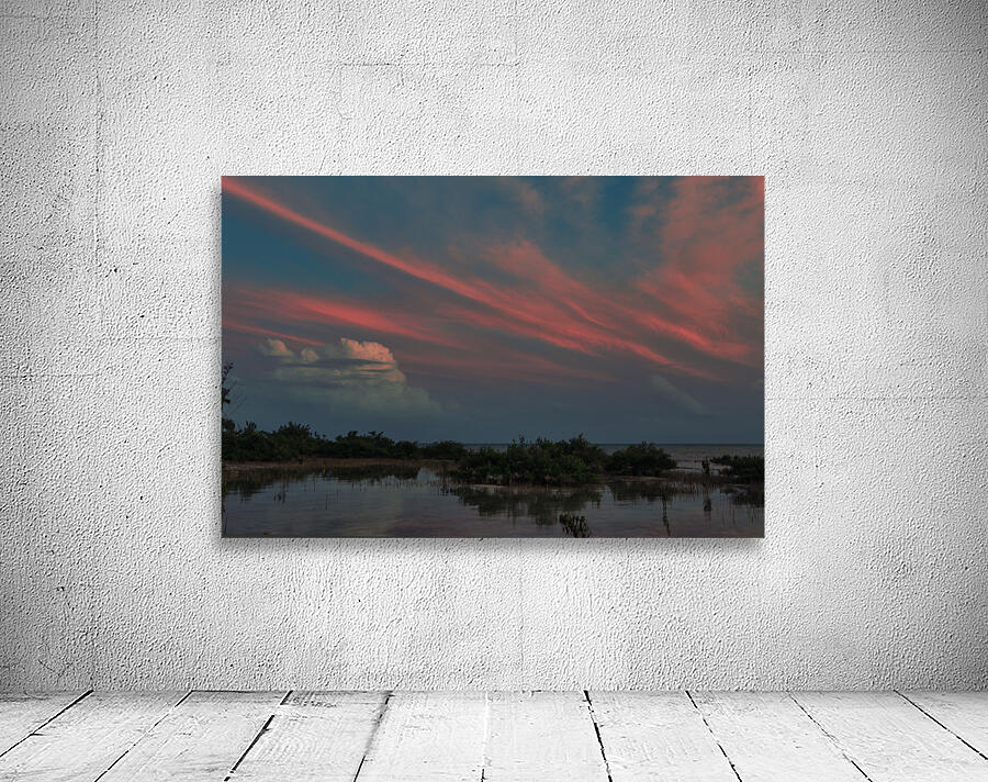 Pink Weather Wall Preview