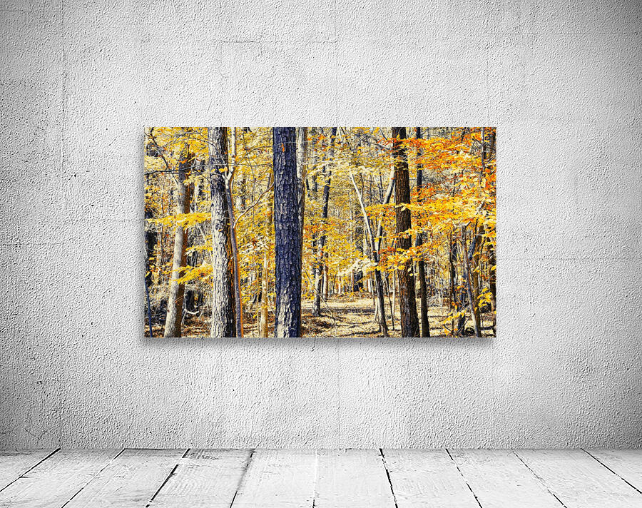 Autumn Trails Wall Preview